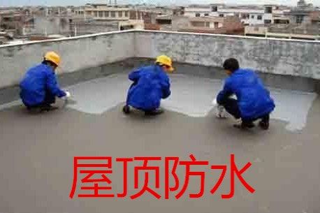 承接楼顶/屋面防水补漏 