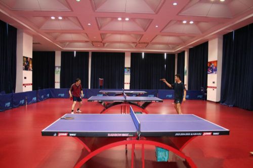比赛型乒乓球运动地板