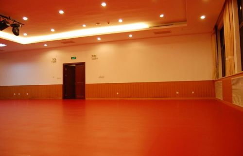 常州溧阳pvc地板舞蹈室瑜伽室适用地板