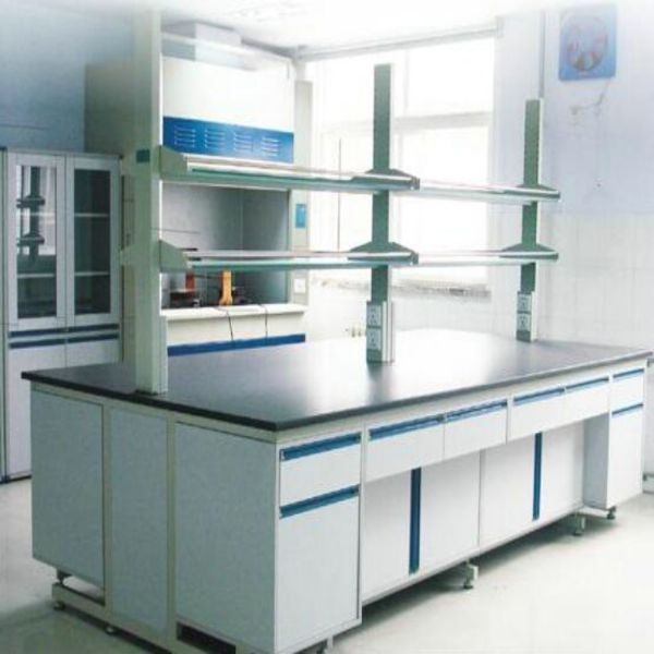 山东天x实验室设备 实验台 化学实验室操作 特种建材