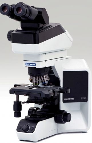 特种建材 供应奥林巴斯显微镜BX43