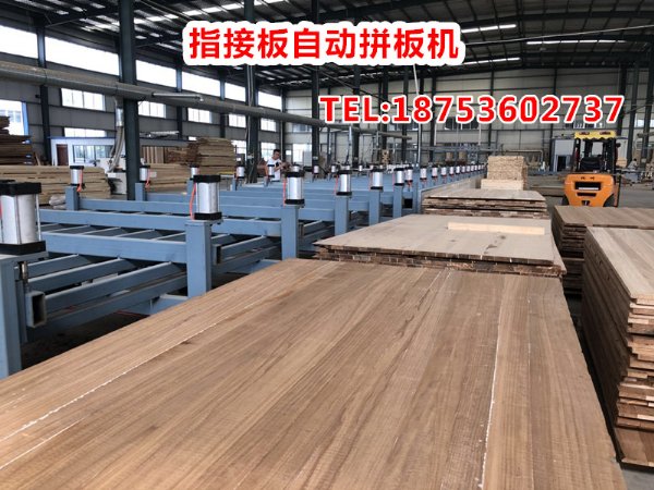 工程机械、建筑机械 新型木工拼板机供应商 全自动拼板机生产厂家