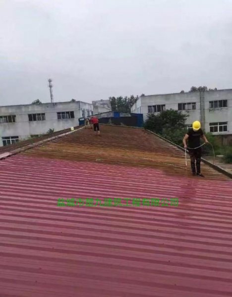 彩钢瓦屋顶喷漆翻新 特种建材